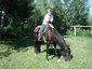 Chrystal Star Ranch