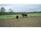 hardscrabble farm