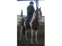 GrayStone Stables