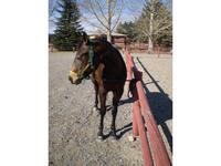 Saddle Mountain Ranch