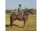 Wormser Livestock