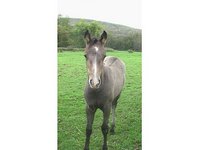 River Run Ranch