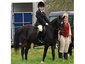 CALM Equestrian