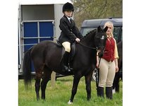 CALM Equestrian
