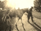 The Spotted Hide Ranch