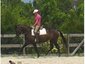 Klass Act Acres
