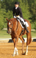 Sandhills Dressage