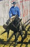 NORTH TEXAS HORSE TRAINING