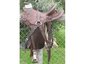 Two C Ranch Horses