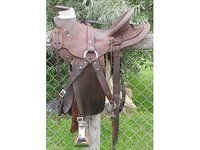 Two C Ranch Horses