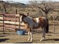 W Diamond L ranch