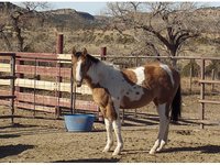 W Diamond L ranch