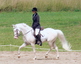 Horse Heaven Stable