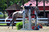 Dare to Dream Farm