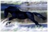 Rippled Feather Ranch