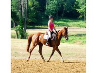 Midway Farms, Inc,