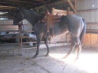 Lightning Cross Ranch
