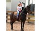 Silver Quarter Acres