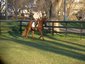 Longfield Farm
