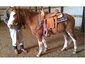 rolling hills stables