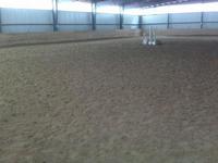 Ledger Farm