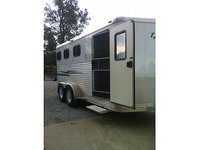 Front Page Performance Horses
