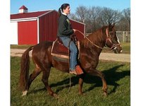 Spanish Oak Farms