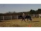 Valley View Riding Stables
