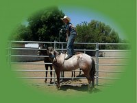 SD&L ranch