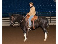 Red Tail Ranch