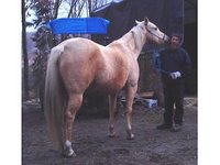 StarFireRanch