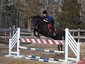 Boston Equine
