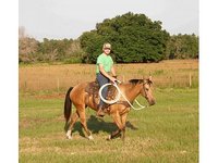 Heather Smullen Breaking & Training