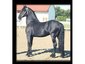 GaitKeeper StablesTM