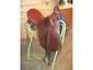 ABC Equestrian Lessons & Training