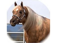 RCM Farms