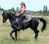 Red Hawk Horse Ranch