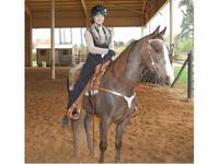 Ansteorra Stables