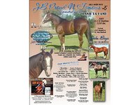 J Daimond Ranch