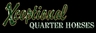 Xceptional Quarter Horses