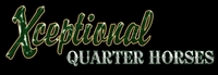 Xceptional Quarter Horses