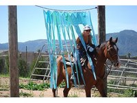 sand bar ranch