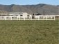 Tranquility Farm