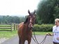 EquiPostLLC