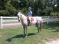 Eterna Stables