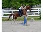 Duffy Ranch