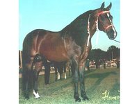 Trojan Ranch
