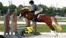 South Shore Sport Horses