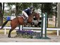 Vinson Riding Academy
