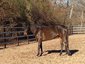 Rolling Hills Riding Academy